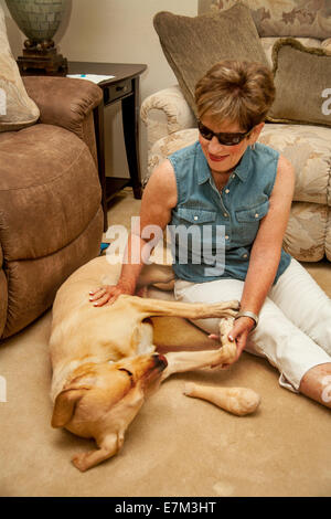 A casa nella zona suburbana di Irvine, CA, una donna cieca gioca affettuosamente con il suo giallo Labrador retriever cane guida Foto Stock