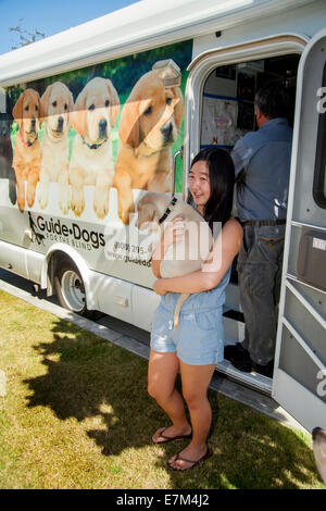 Un cucciolo carrello' da cani guida per non vedenti in California offre un Labrador di razza pura cucciolo a un felice asiatici adottivo proprietario americano nella città di Midway, CA. Dopo 15 mesi, i cani vengono restituiti per la formazione finale come cani guida. Foto Stock