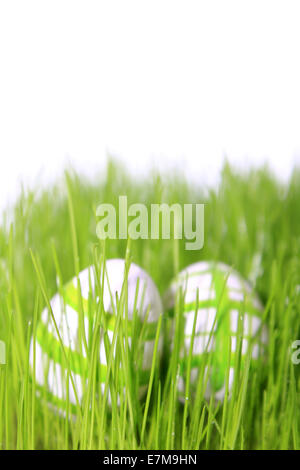 Le uova di pasqua di verde e bianco nel prato con sfondo bianco Foto Stock