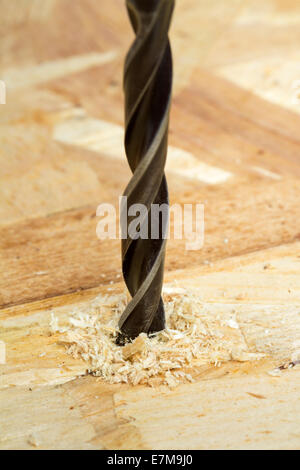 Close-up di bit della coclea per forare il legno - Focus su legno Foto Stock