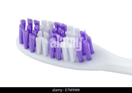 Spazzolino da denti malva isolato su uno sfondo bianco Foto Stock