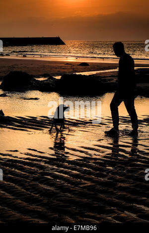 La silhouette di un uomo e il suo cane sulla spiaggia di Sennen Cove come il sole tramonta. Foto Stock