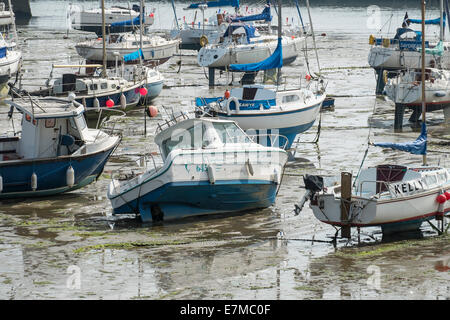 Porto; bassa marea; barche; imbarcazioni a vela; ormeggiati; ormeggio; Fango; Fango; nessuno Foto Stock