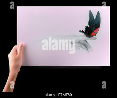 Concetto di ispirazione con mano umana e stupenda farfalla Foto Stock