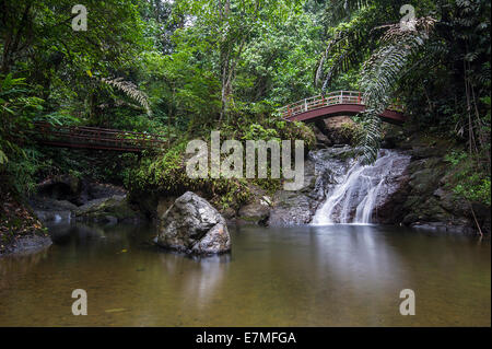 Il parco ricreativo scenario a Serian parte del distretto di Sarawak nature park. Foto Stock