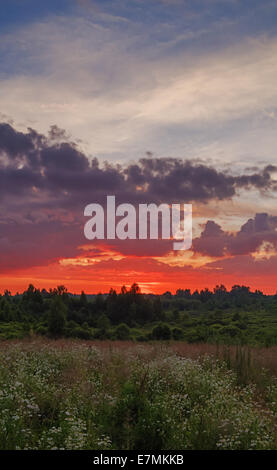 Rural rosso tramonto. Foto Stock