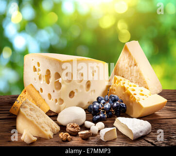 Diversi tipi di formaggio su un vecchio tavolo di legno con natura verde dello sfondo. Foto Stock