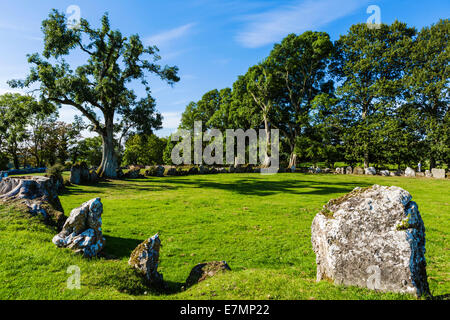 Il Grange Stone Circle, Lough Gur, County Limerick, Repubblica di Irlanda - la permanente più grande cerchio di pietra in Irlanda Foto Stock