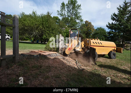 Un uomo con un modello di Rayco Super RG50 4X4 moncone smerigliatrice per rimuovere un ceppo di albero in Rhode Island USA Foto Stock