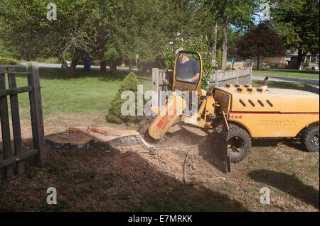 Un uomo con un modello di Rayco Super RG50 4X4 moncone smerigliatrice per rimuovere un ceppo di albero in Rhode Island USA Foto Stock