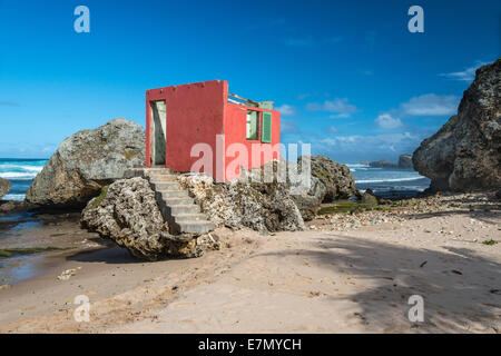 Betsabea, Barbados, West Indies Foto Stock