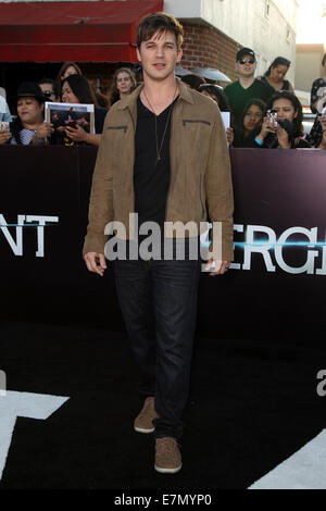 Premiere di Summit Entertainment 'Divergent' al Regency Bruin Theatre - tappeto rosso arrivi con: Matt Lanter dove: Los Angeles, California, Stati Uniti quando: 19 Mar 2014 Foto Stock