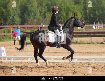 Giovani dressage pilota sul dorso di un cavallo di Trakehnen in autunno Foto Stock