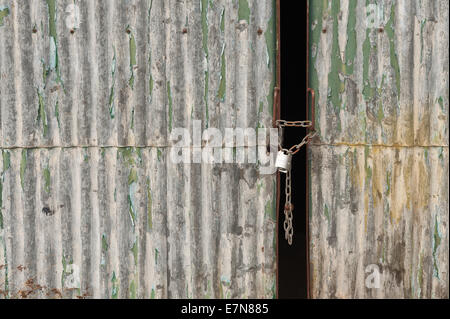 Incatenato in acciaio a trazione lucchetto di sicurezza su zincato verniciato magazzino ondulato con porte leggermente socchiuse Foto Stock