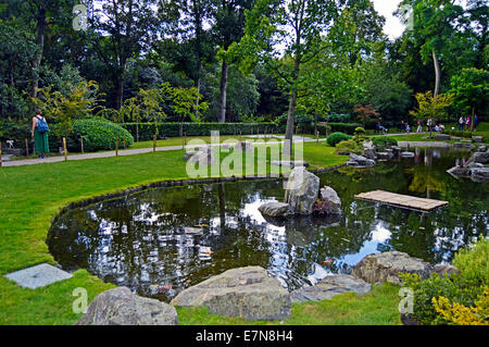 Kyoto Garden, un giardino giapponese di Holland Park, Royal Borough di Kensington e Chelsea, London, England, Regno Unito Foto Stock