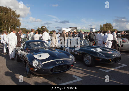 Tipo e linea fino a Goodwood Foto Stock