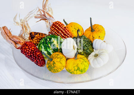 Vaso di vetro con diversi tipi di Zucche e mais Foto Stock