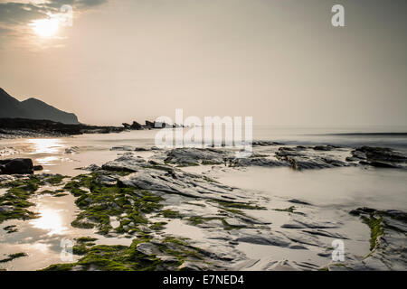 Crackington haven bassa marea North Cornwall Foto Stock