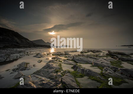 Crackington haven bassa marea North Cornwall Foto Stock