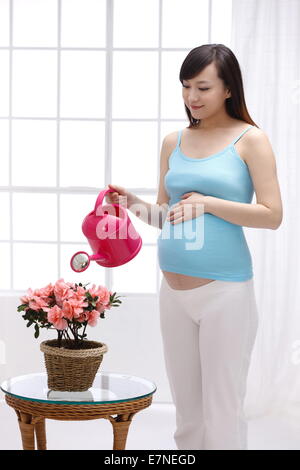 Donna incinta abbeveraggio i fiori Foto Stock