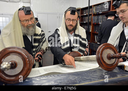 La Torah e la lettura durante una preghiera mattutina presso la sinagoga Ohel nel Queens, a New York Foto Stock