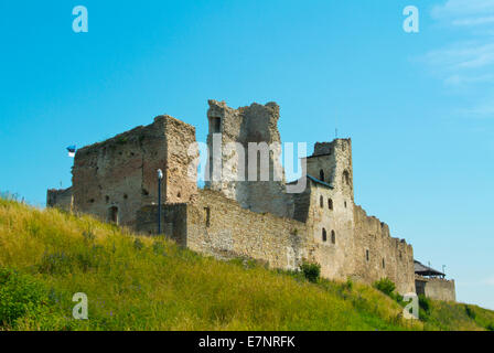 Il castello di Wesenberg, Vallimägi, la collina del castello di Rakvere, Estonia, paesi baltici, Europa Foto Stock