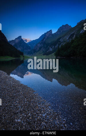 Alpi, Alpstein, area Alpstein, Appenzell, Appenzell Innerrhoden, vista montagna, panorama di montagna, montagne, blu ora, crepuscolo, Foto Stock