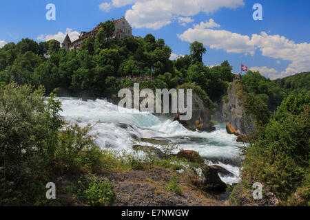 Rocce, scogliere, fiume, flusso, corpo di acqua, acqua, Svizzera orientale, panorama, Reno, Cascate del Reno, cadono sul Reno, Sciaffusa, c Foto Stock