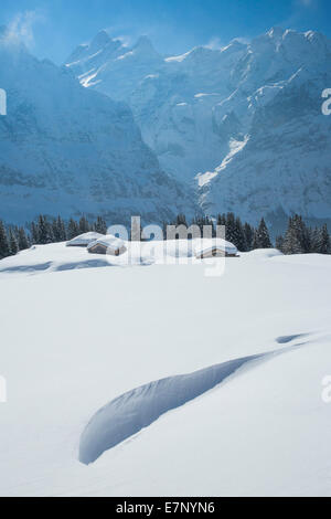 Sci alpino, cabina, Grindelwald, ridge, spavento horn, montagna, Montagne, sci sci, carving, inverno, sport invernali, canton Ber Foto Stock