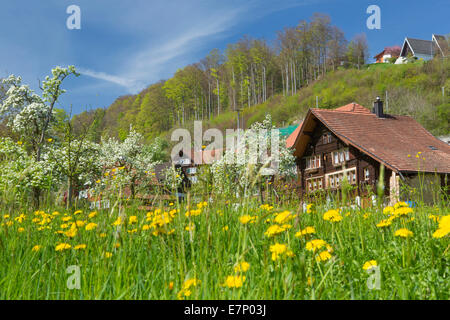 Lutzenberg, Wienacht Tobel, villaggio, del cantone di Appenzell Ausserrhoden, molla, Svizzera, Europa Foto Stock
