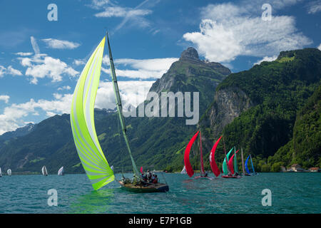 Il lago di Uri, yachting, regata, Vierwaldstättersee, il Lago di Lucerna, barca a vela, barca a vela, sport acquatici, Svizzera, Europa Foto Stock