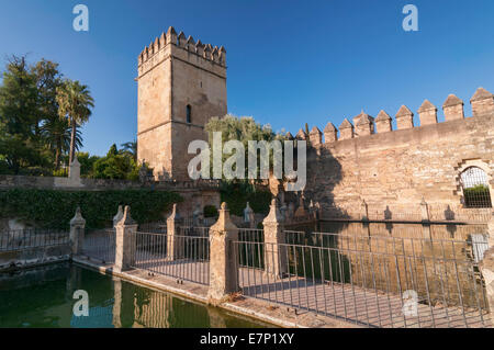 Torre de Los Leones giardini dell'Alcazar Cordoba Andalusia Spagna Foto Stock