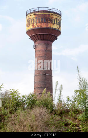 Devastazione industriale dal 1999, Hannoversche Gummiwerke Excelsior, Continental AG, Limmer, Hannover, Bassa Sassonia, Germania, UE Foto Stock