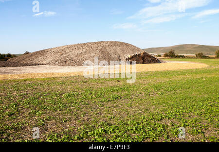 Moderno-giorno stile neolitico Long Barrow sepoltura camera per memorizzare la cremazione urne cinerarie tutti Cannings, vicino a Devizes, Wiltshire, Regno Unito. Foto Stock