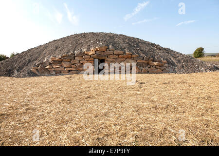 Moderno-giorno stile neolitico Long Barrow sepoltura camera per memorizzare la cremazione urne cinerarie tutti Cannings, vicino a Devizes, Wiltshire, Regno Unito. Foto Stock