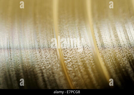 Un vinile in una luce gialla Foto Stock