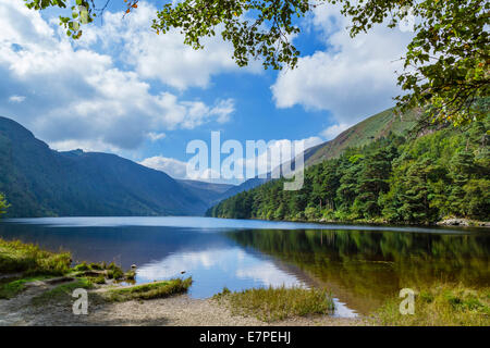 Il Lago Superiore al vecchio insediamento monastico di Glendalough, County Wicklow, Repubblica di Irlanda Foto Stock