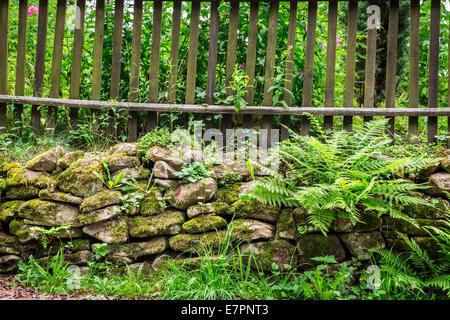 Vecchia staccionata in legno su rocce Foto Stock