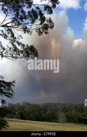 Il fumo di una masterizzazione bushfire nelle Blue Mountains in Australia Foto Stock