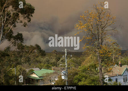 Il fumo di una masterizzazione bushfire nelle Blue Mountains in Australia Foto Stock