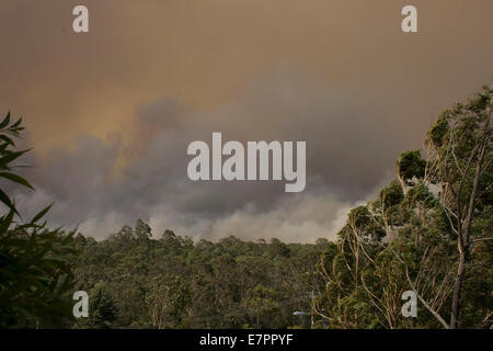 Il fumo di una masterizzazione bushfire nelle Blue Mountains in Australia Foto Stock