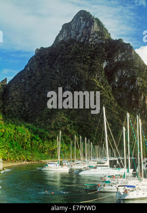 Barche a vela e yacht ormeggiati a Margretoute Bay sotto il monte Petit Piton sull'isola di St. Lucia, nelle Indie Occidentali Foto Stock