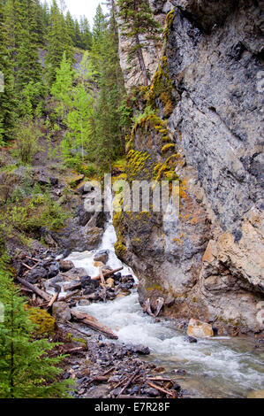 Sundance Canyon, grotta di Bacino Trail, Banff, Alberta, Canada Foto Stock