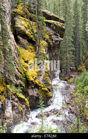 Sundance Canyon, grotta di Bacino Trail, Banff, Alberta, Canada Foto Stock