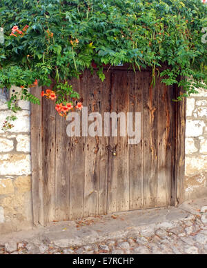 Vecchia porta di legno con fiori sulla parte superiore Foto Stock