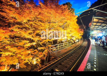 Kyoto, Giappone - 22 Novembre 2013: Kifune Santuario è un santuario shintoista situato a SakyO-ku a Kyoto, Giappone Foto Stock