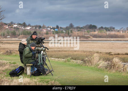 Il birdwatching con telescopio su treppiede in inverno sul terreno paludoso. Foto Stock