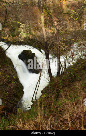 Forza Colwith, Lake District, Cumbria, Regno Unito Foto Stock