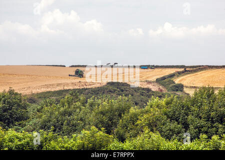 Terreni agricoli nei pressi di speranza cove nel Devon, Inghilterra, Regno Unito. Foto Stock