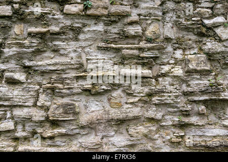Il vecchio castello tedesco stonewall Foto Stock